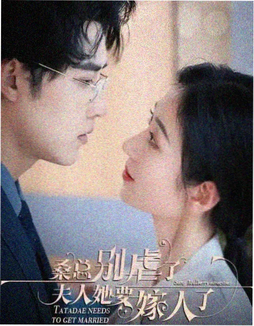芊芊影院犯罪悬疑剧《雾港迷踪》缩略海报